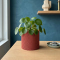 Helix Planter
