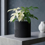 Helix Shift Planter