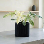 Palo Square Planter
