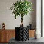 Modern Planter with drainage and tray 3D Printed with Drip Tray Modern Curve Design Plant Pot with Drain Hole Indoor Succulent Pot Sine