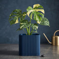 Palo Square Planter