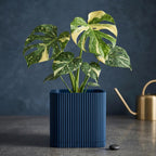 Palo Square Planter