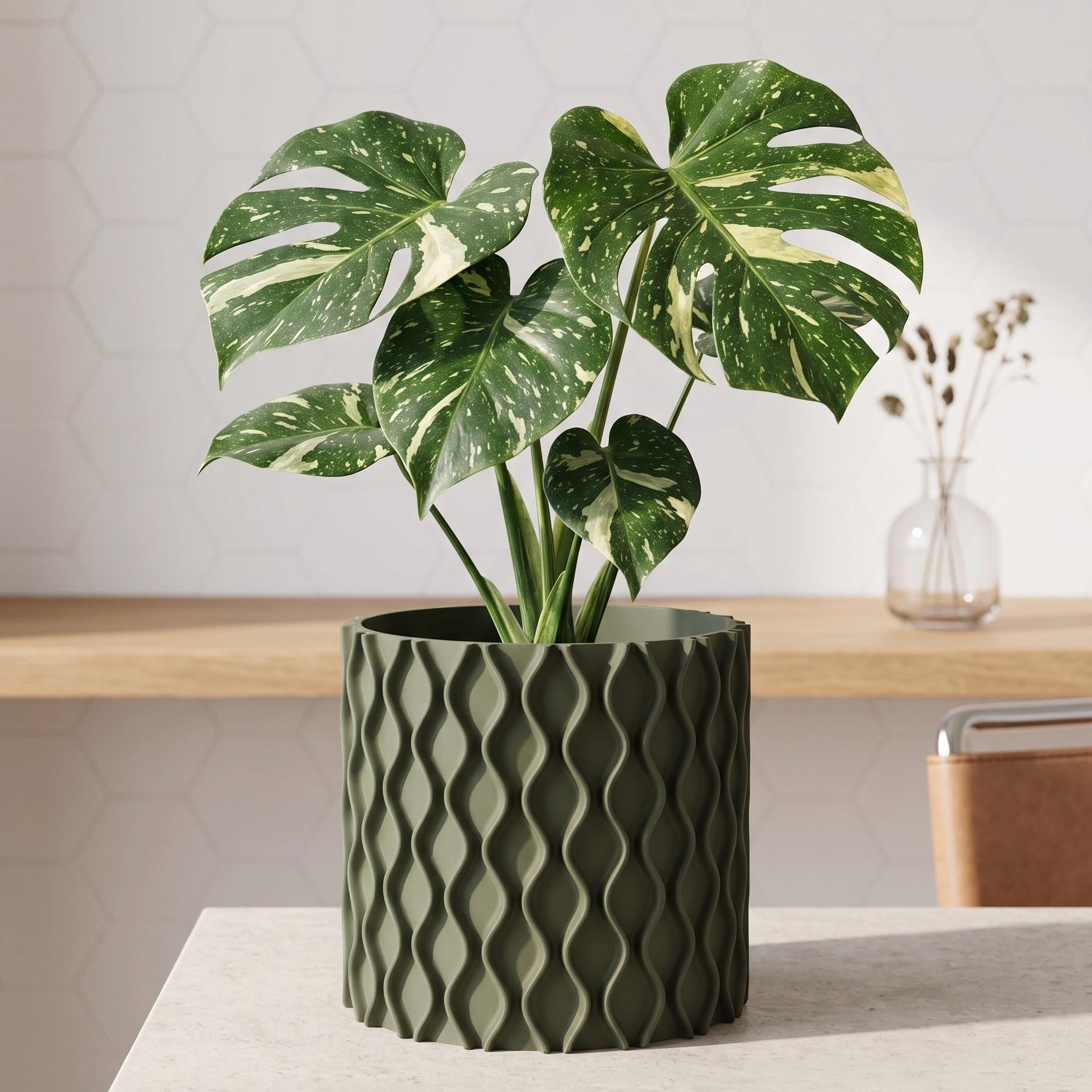 Modern Planter with drainage and tray 3D Printed with Drip Tray Modern Curve Design Plant Pot with Drain Hole Indoor Succulent Pot Sine