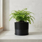 Ender Planter
