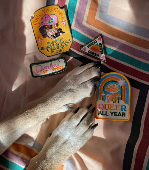 Gender Reveals Patch